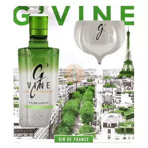 G'Vine Floraison Gin (DD+Pohár) [0,7L|40%]