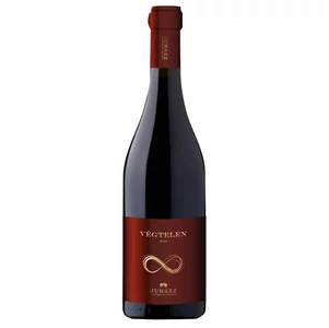 Juhász Végtelen Vörös [0,75L|2022]
