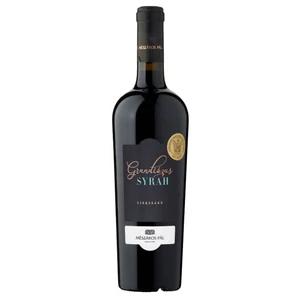 Mészáros Pál Grandiózus Syrah [0,75L|2023]