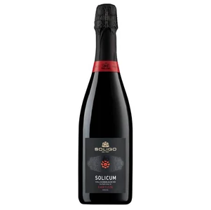 Soligo Solicum Cartizze Brut Valdobbiadene Superiore di Cartizze DOCG [0,75L]