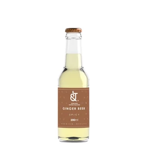 &T Spicy Ginger Beer [0,2L]